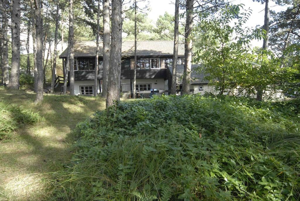 森林小屋酒店 霍恩 外观 照片